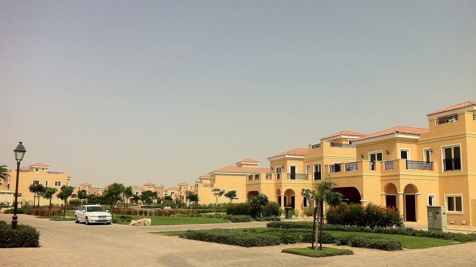 Villas along a quiet street in a Dubai community