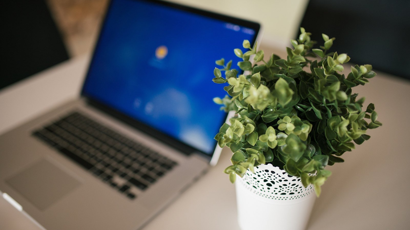 A laptop and a small potted plant on a white desk in a bright workspace